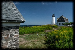 Wood Island Lighthouse Among Wildflowers in Maine